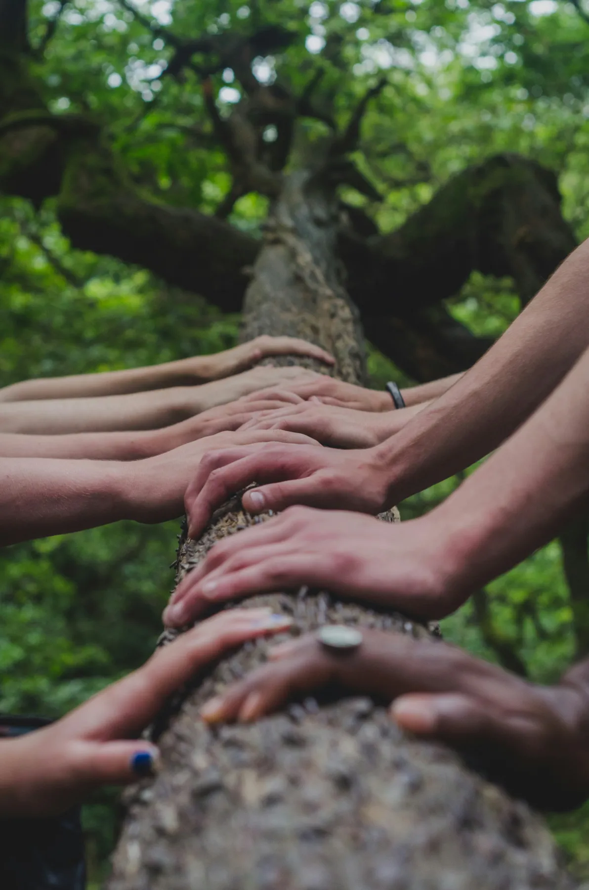 Familiencoaching in Zürich Oerlikon